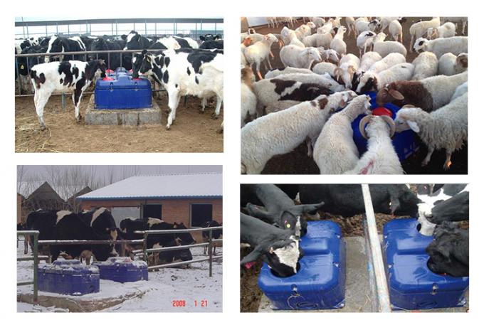 Frost Schüssel-/Kuhviehschafziegenfrostschutztrinkerabflussrinne Bauernhofs- mit Viehhaltungausrüstung des freien/Hitze Selbsttrinkwassers